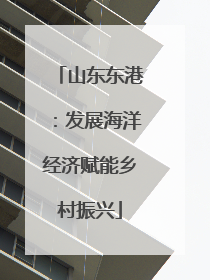 山东东港：发展海洋经济赋能乡村振兴