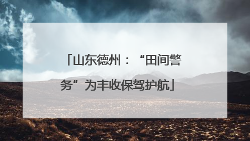 山东德州：“田间警务”为丰收保驾护航