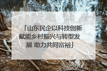 山东民企以科技创新赋能乡村振兴与转型发展 助力共同富裕
