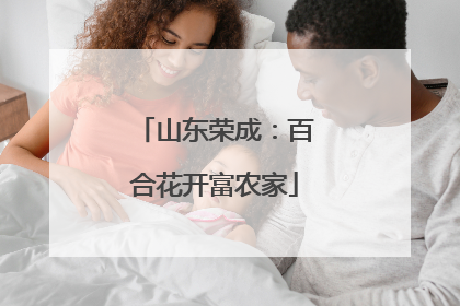 山东荣成：百合花开富农家