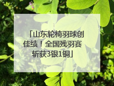 山东轮椅羽球创佳绩！全国残羽赛斩获3银1铜