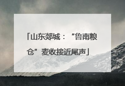 山东郯城：“鲁南粮仓”麦收接近尾声