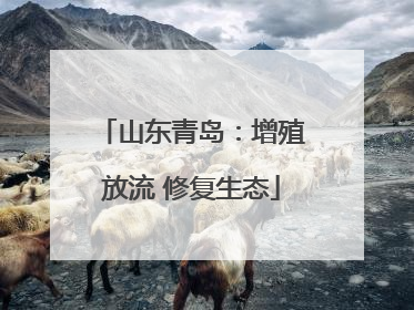山东青岛：增殖放流 修复生态