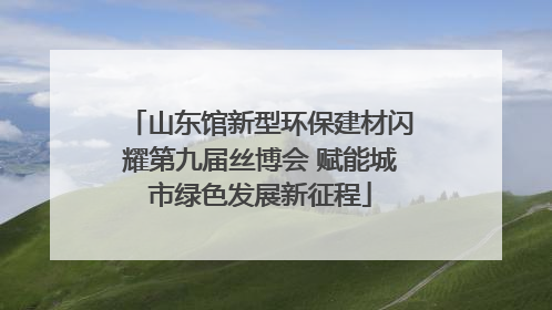 山东馆新型环保建材闪耀第九届丝博会 赋能城市绿色发展新征程