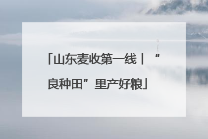 山东麦收第一线丨“良种田”里产好粮