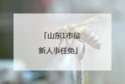 山东1市最新人事任免
