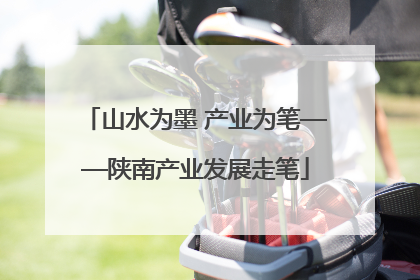 山水为墨 产业为笔——陕南产业发展走笔