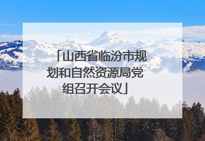 山西省临汾市规划和自然资源局党组召开会议