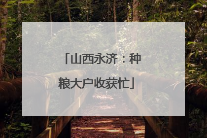 山西永济：种粮大户收获忙