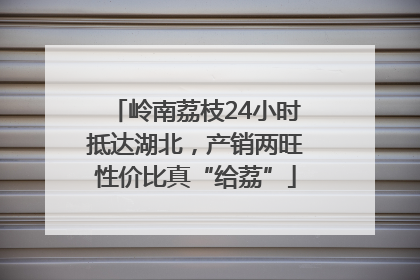 岭南荔枝24小时抵达湖北，产销两旺性价比真“给荔”