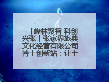 峰林聚智 科创兴张丨张家界旅典文化经营有限公司博士创新站：让土家织锦“智”造出非遗新传奇