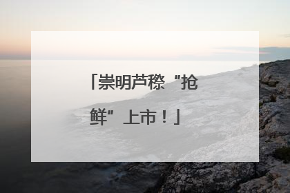 崇明芦穄“抢鲜”上市！