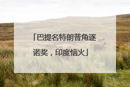 巴提名特朗普角逐诺奖，印度恼火