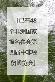 已有48个非洲国家报名参会第四届中非经贸博览会