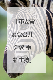 市委常委会召开会议 韦韬主持
