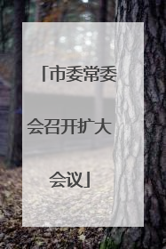 市委常委会召开扩大会议