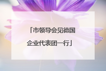 市领导会见德国企业代表团一行