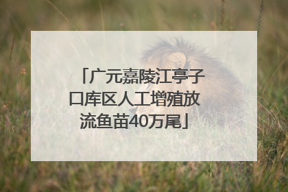 广元嘉陵江亭子口库区人工增殖放流鱼苗40万尾