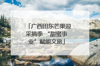 广西田东芒果迎采摘季 “甜蜜事业”赋能文旅
