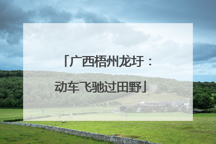 广西梧州龙圩：动车飞驰过田野