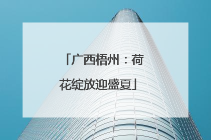 广西梧州：荷花绽放迎盛夏