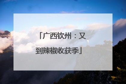 广西钦州：又到辣椒收获季