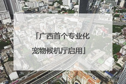 广西首个专业化宠物候机厅启用