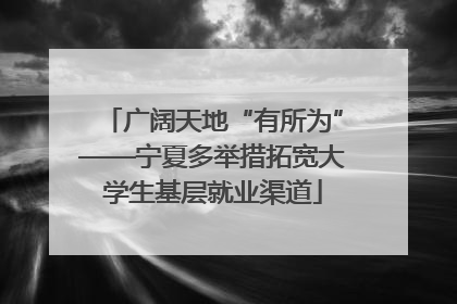 广阔天地“有所为”——宁夏多举措拓宽大学生基层就业渠道
