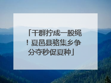 干群拧成一股绳！夏邑县骆集乡争分夺秒促夏种