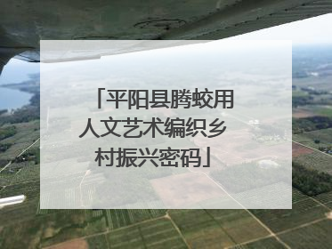 平阳县腾蛟用人文艺术编织乡村振兴密码
