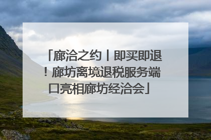 廊洽之约丨即买即退！廊坊离境退税服务端口亮相廊坊经洽会