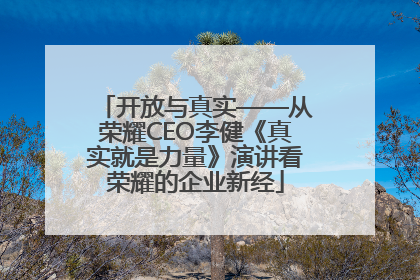 开放与真实——从荣耀CEO李健《真实就是力量》演讲看荣耀的企业新经