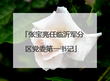 张宝亮任临沂军分区党委第一书记