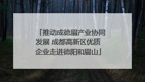 推动成德眉产业协同发展 成都高新区优质企业走进德阳和眉山