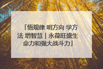 悟规律 明方向 学方法 增智慧｜永葆旺盛生命力和强大战斗力