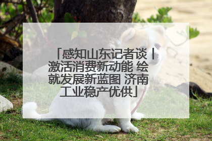 感知山东记者谈丨激活消费新动能 绘就发展新蓝图 济南工业稳产优供