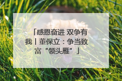 感恩奋进 双争有我丨董保立：争当致富“领头雁”