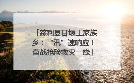 慈利县甘堰土家族乡：“汛”速响应！奋战抢险救灾一线