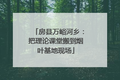 房县万峪河乡：把理论课堂搬到烟叶基地现场