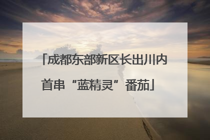 成都东部新区长出川内首串“蓝精灵”番茄