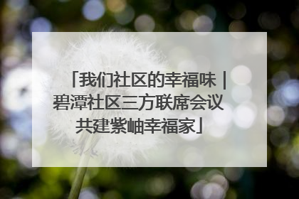我们社区的幸福味｜碧潭社区三方联席会议共建紫岫幸福家