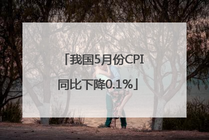 我国5月份CPI同比下降0.1%