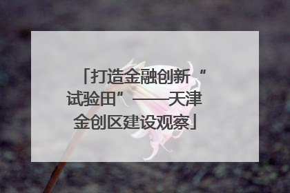 打造金融创新“试验田”——天津金创区建设观察