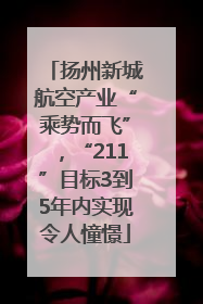 扬州新城航空产业“乘势而飞”，“211”目标3到5年内实现令人憧憬