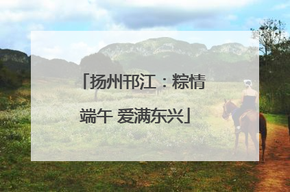 扬州邗江：粽情端午 爱满东兴