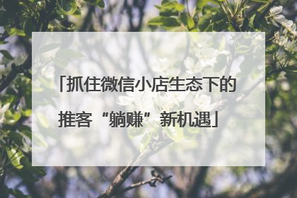 抓住微信小店生态下的推客“躺赚”新机遇