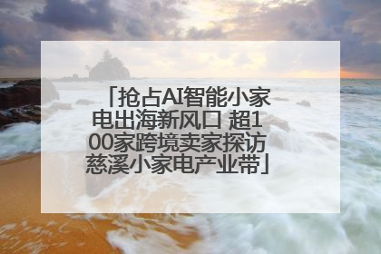 抢占AI智能小家电出海新风口 超100家跨境卖家探访慈溪小家电产业带