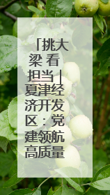 挑大梁 看担当｜夏津经济开发区：党建领航高质量发展新实践