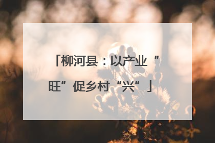 柳河县：以产业“旺”促乡村“兴”