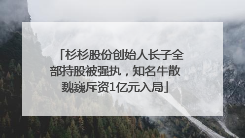 杉杉股份创始人长子全部持股被强执，知名牛散魏巍斥资1亿元入局